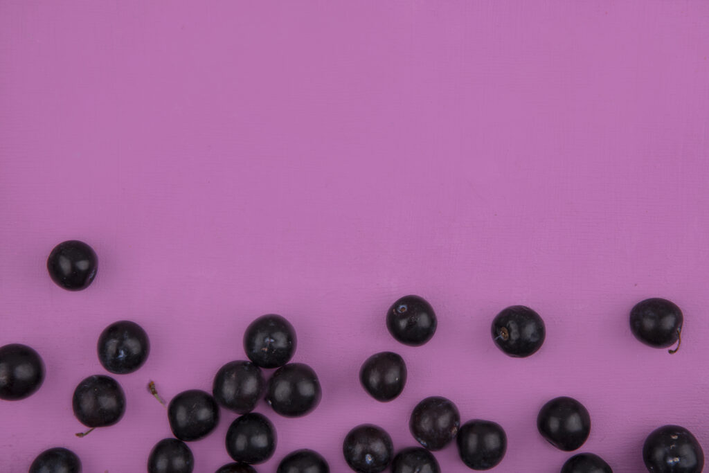 Ferramentas que não podem faltar no seu sistema para loja de açaí