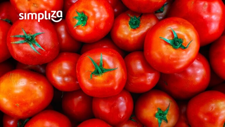 Despolpadeira de tomate: Tudo que você precisa saber para otimizar seu tempo na cozinha